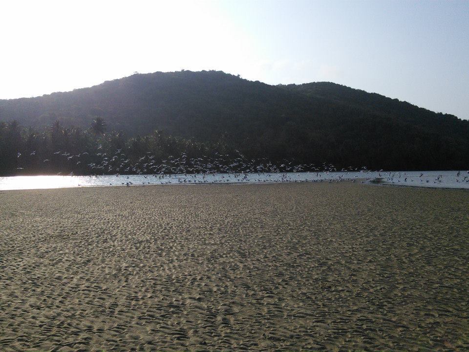 Photo of Long weekend on Western Ghats 11/14 by gaurav srivastava