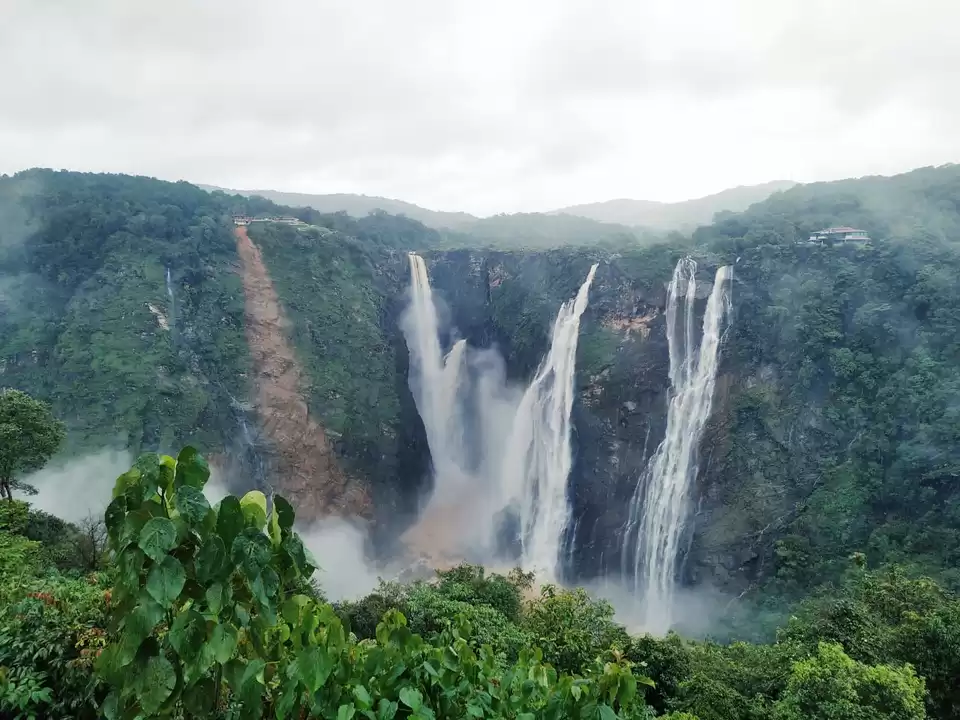 Photo of Meet the Majesty in Karnataka: Jog Falls by swapnil_journeyer