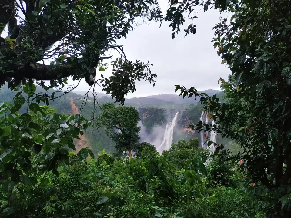 Photo of Meet the Majesty in Karnataka: Jog Falls by swapnil_journeyer