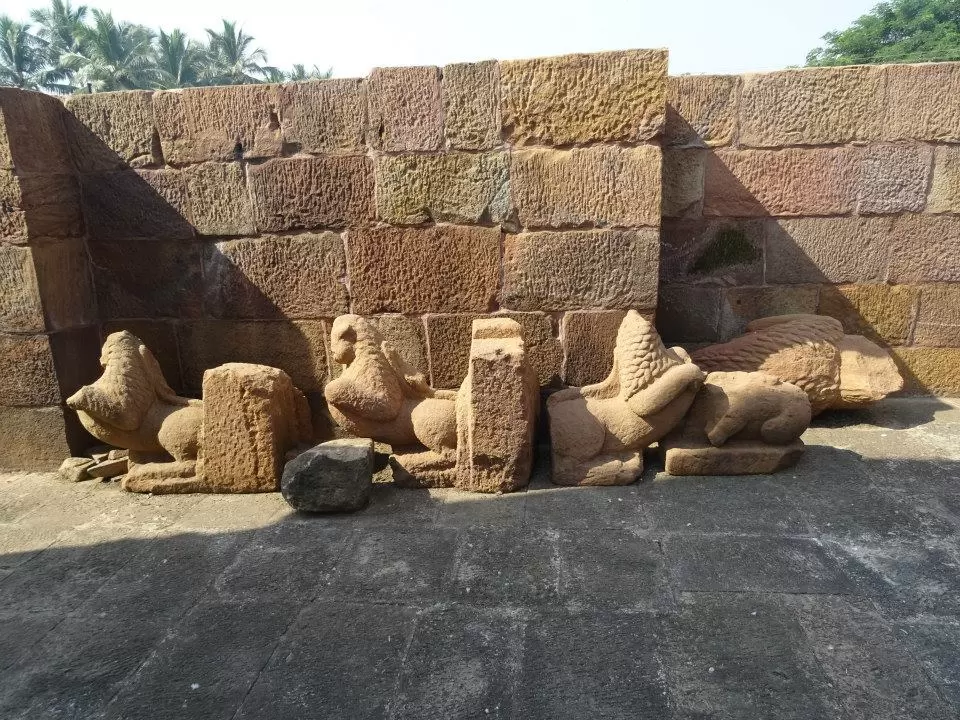 Photo of Odisha, India by Sajna Ali
