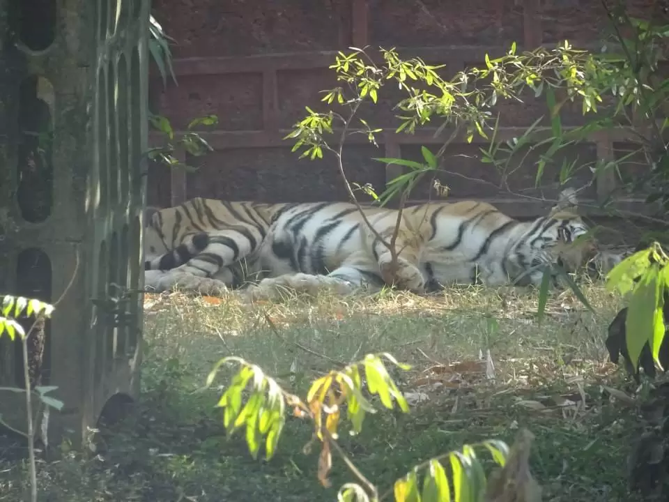 Photo of Nandankanan Zoological Park, Barang, Odisha, India by Sajna Ali