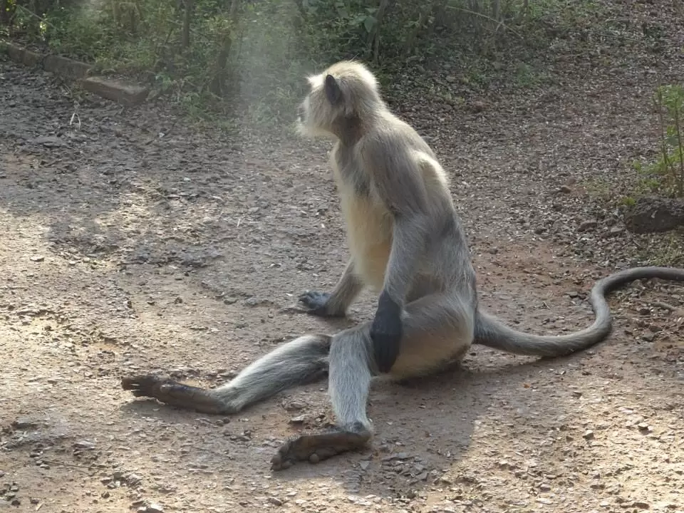 Photo of Nandankanan Zoological Park, Barang, Odisha, India by Sajna Ali