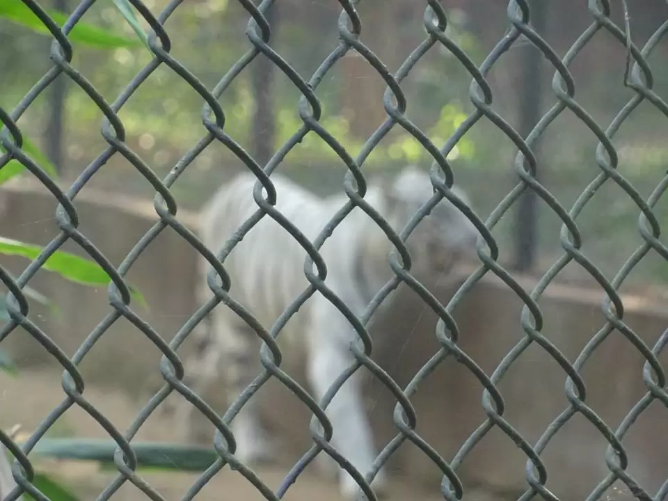 Photo of Nandankanan Zoological Park, Barang, Odisha, India by Sajna Ali
