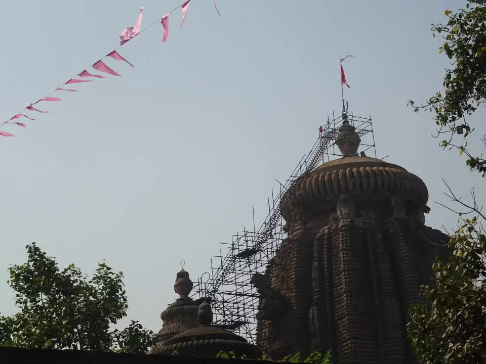 Photo of Odisha, India by Sajna Ali
