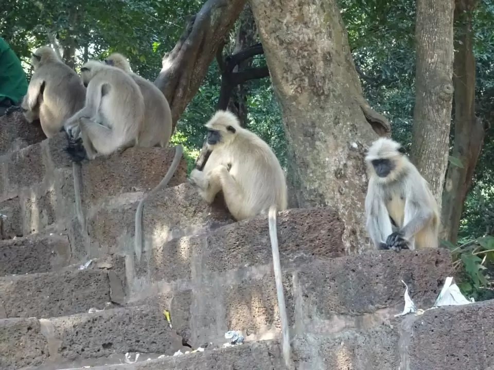 Photo of Odisha, India by Sajna Ali