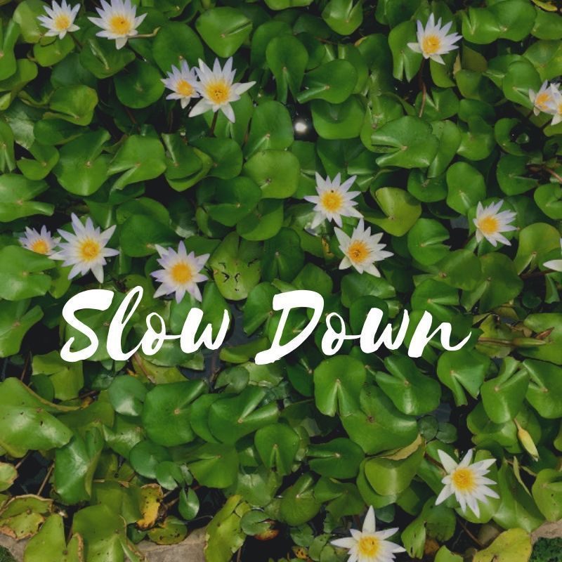 Photo of What is slow travel? Benefits and Tips - Moonlitekingdom by Moonlitekingdom