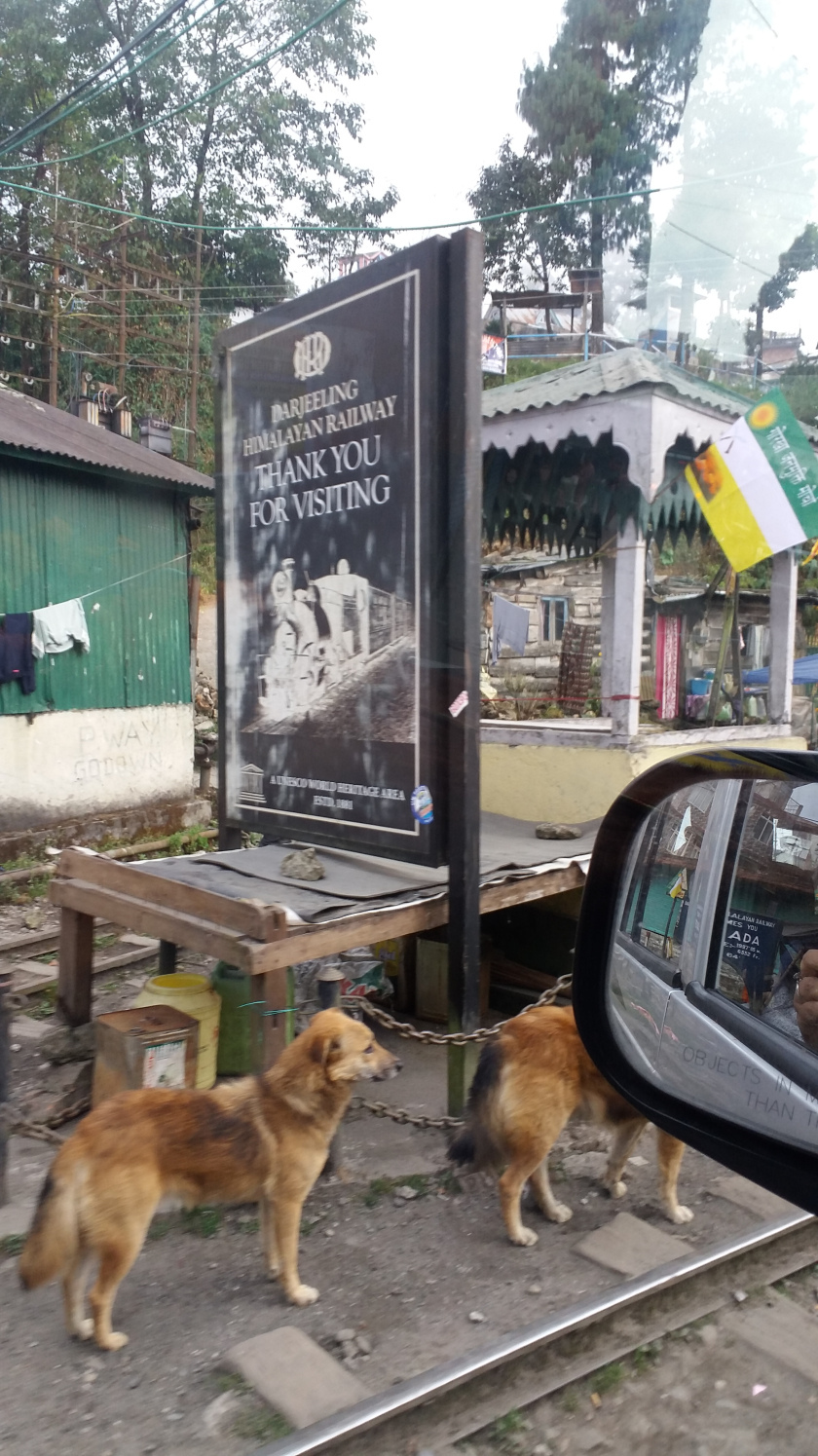 Photo of A Glimpse into the Daily Life- Darjeeling and the People 3/12 by Sanghamitra Saha