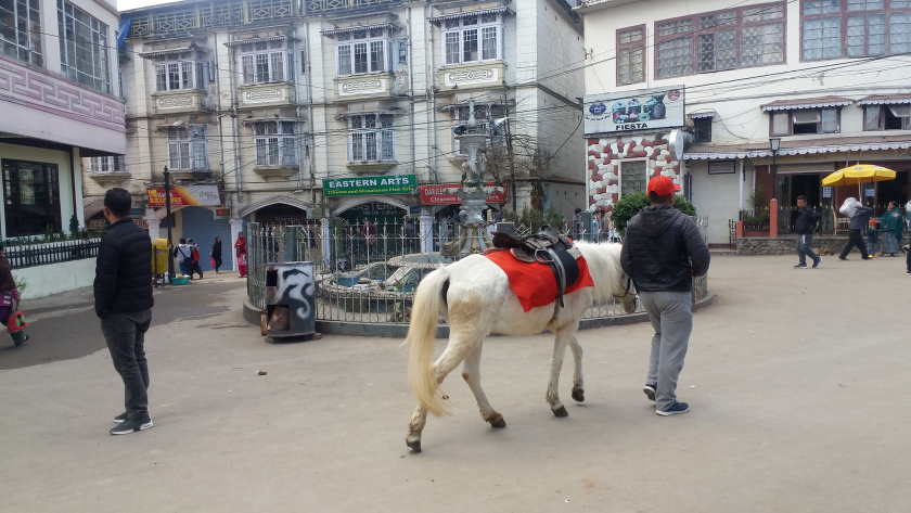 Photo of A Glimpse into the Daily Life- Darjeeling and the People 4/12 by Sanghamitra Saha