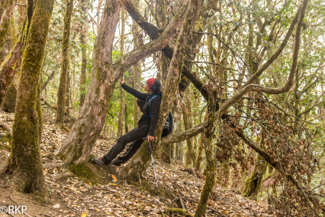 Photo of Trek to the Mysterious Lake - Roopkund by Ashwini Wade