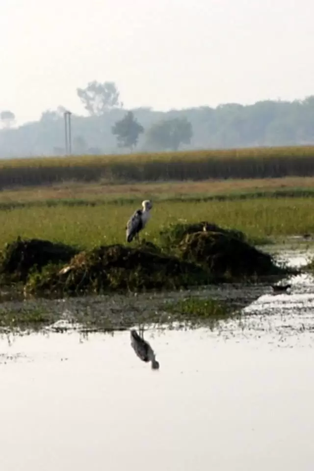 Photo of R S Pura by Nitish Arora