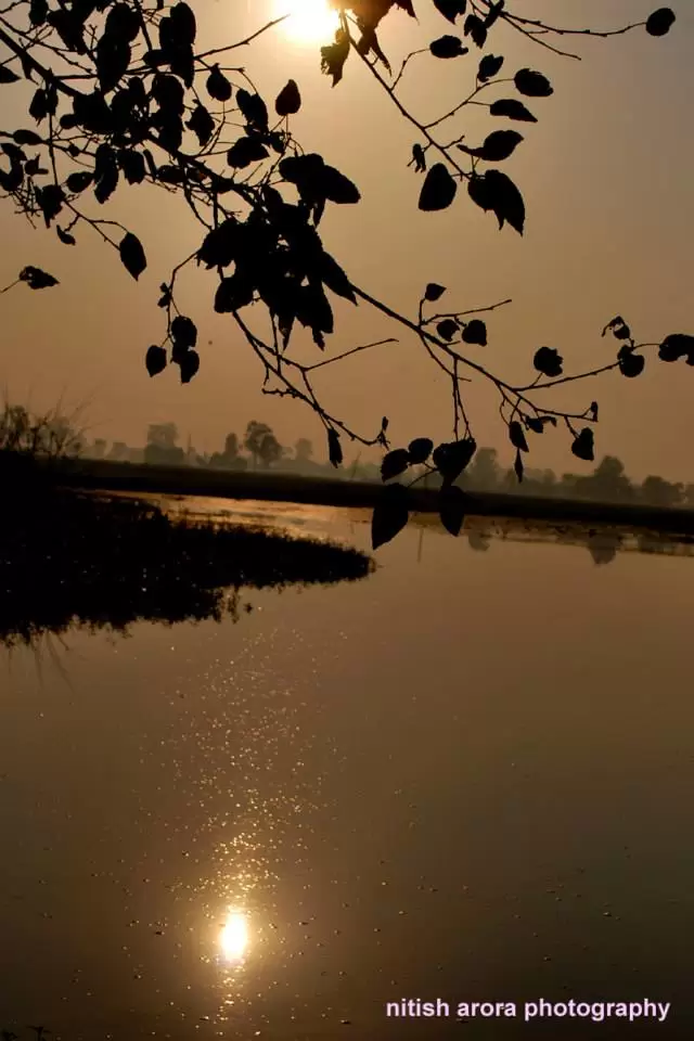 Photo of R S Pura by Nitish Arora