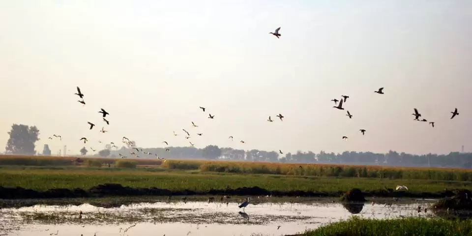 Photo of R S Pura by Nitish Arora