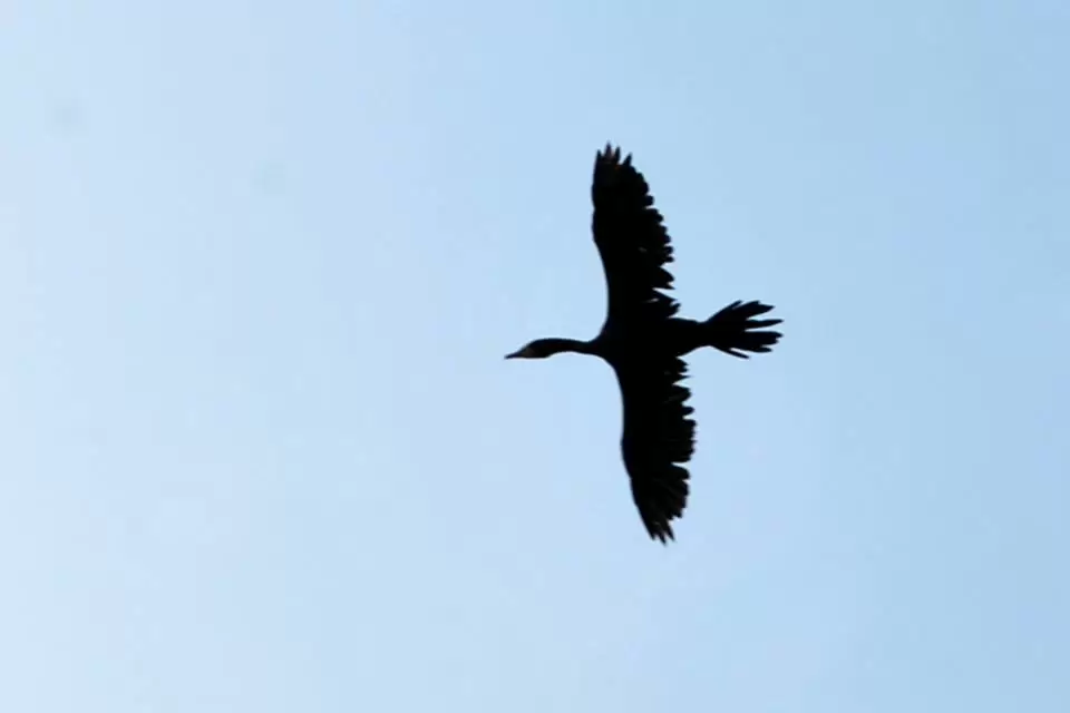 Photo of R S Pura by Nitish Arora
