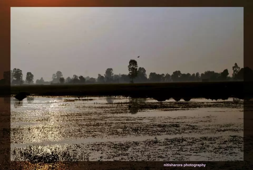 Photo of R S Pura by Nitish Arora