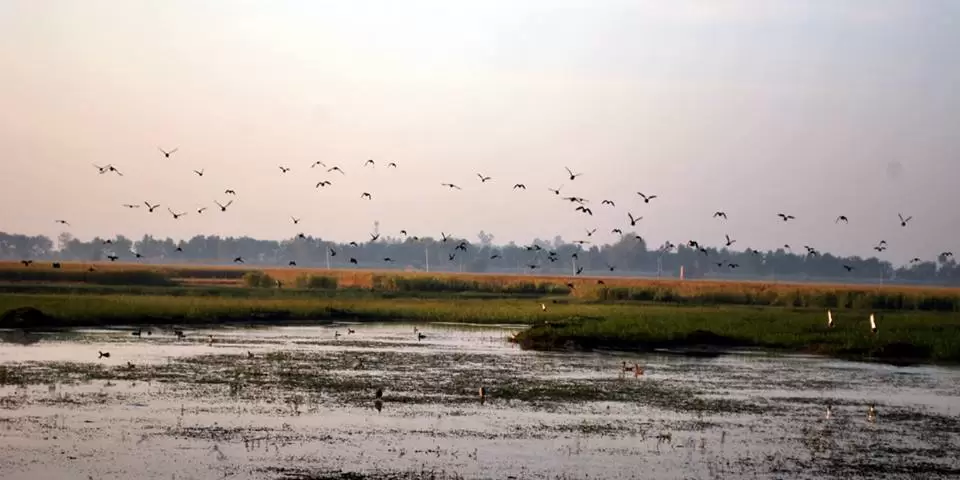 Photo of R S Pura by Nitish Arora