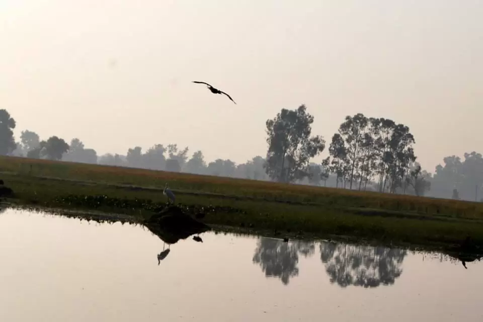 Photo of R S Pura by Nitish Arora