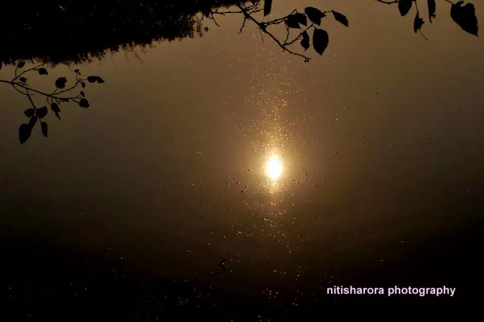 Photo of R S Pura by Nitish Arora