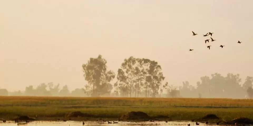 Photo of R S Pura by Nitish Arora