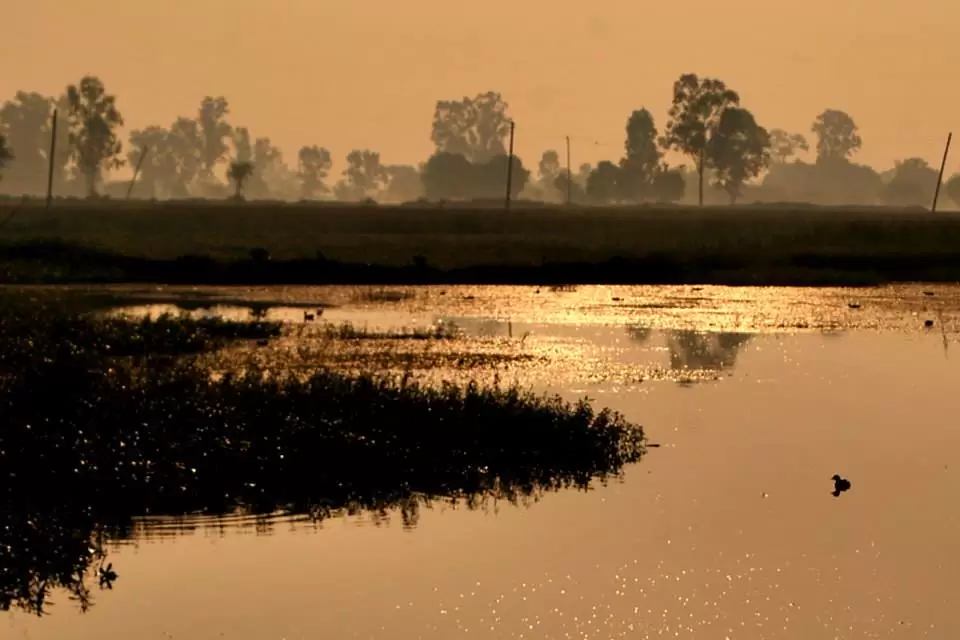 Photo of R S Pura by Nitish Arora