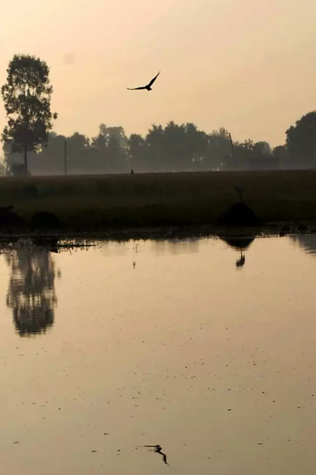Photo of R S Pura by Nitish Arora