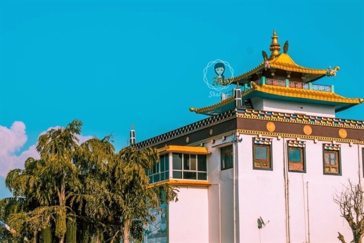 Photo of Mindrolling Monastery- A Photo Tour by Shalini