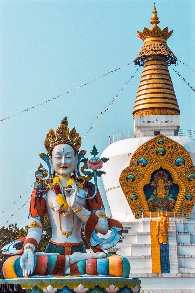 Photo of Mindrolling Monastery- A Photo Tour by Shalini