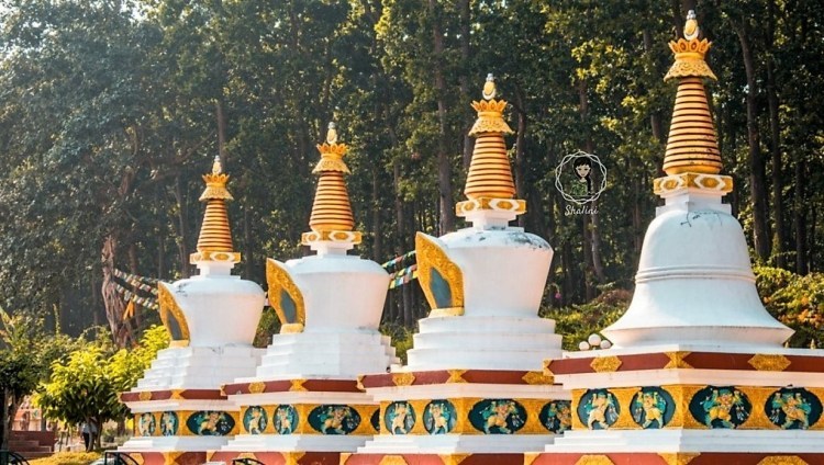 Photo of Mindrolling Monastery- A Photo Tour by Shalini
