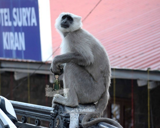Photo of The name's Bond, Ruskin Bond! by Shalini