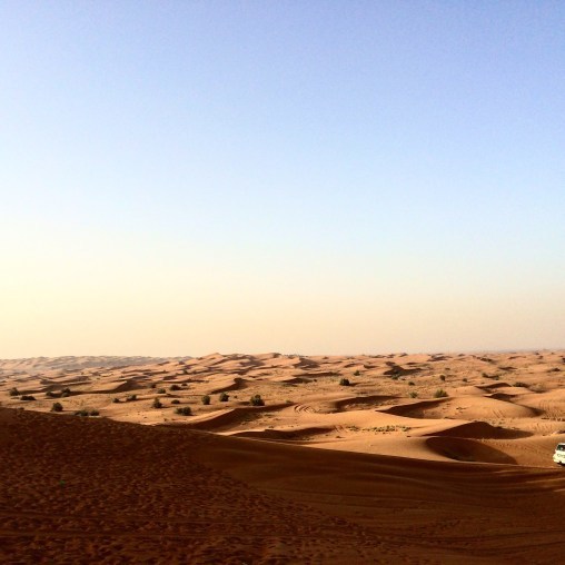 Photo of Dubai Calling by Radhika Bose