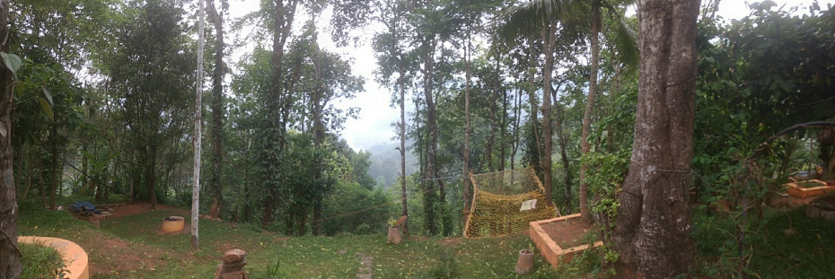 Photo of Creating Memories at Munnar ! 4/10 by The Urban Nomad