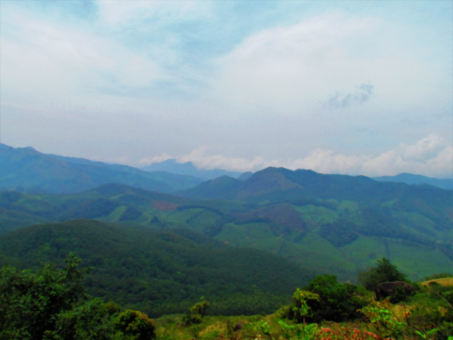 Photo of Creating Memories at Munnar ! 7/10 by The Urban Nomad