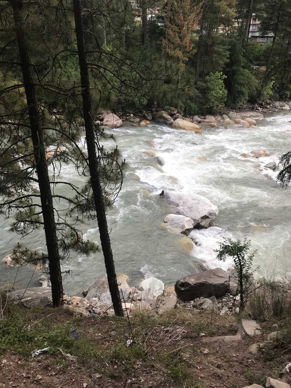 Photo of Sarpass Trek: Everything You Need To Know by Deepti Dabas