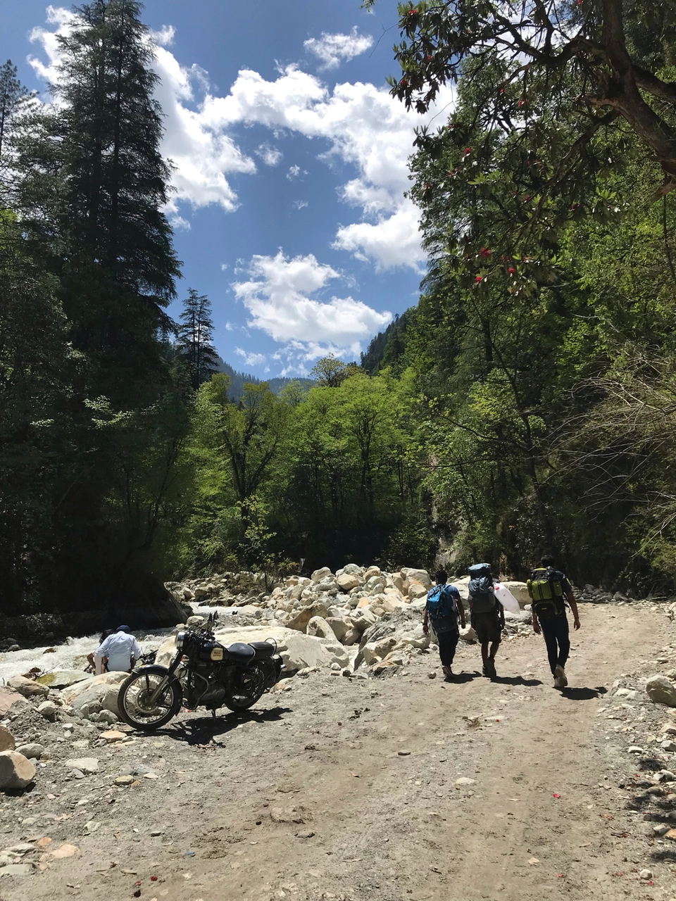 Photo of Sarpass Trek: Everything You Need To Know by Deepti Dabas