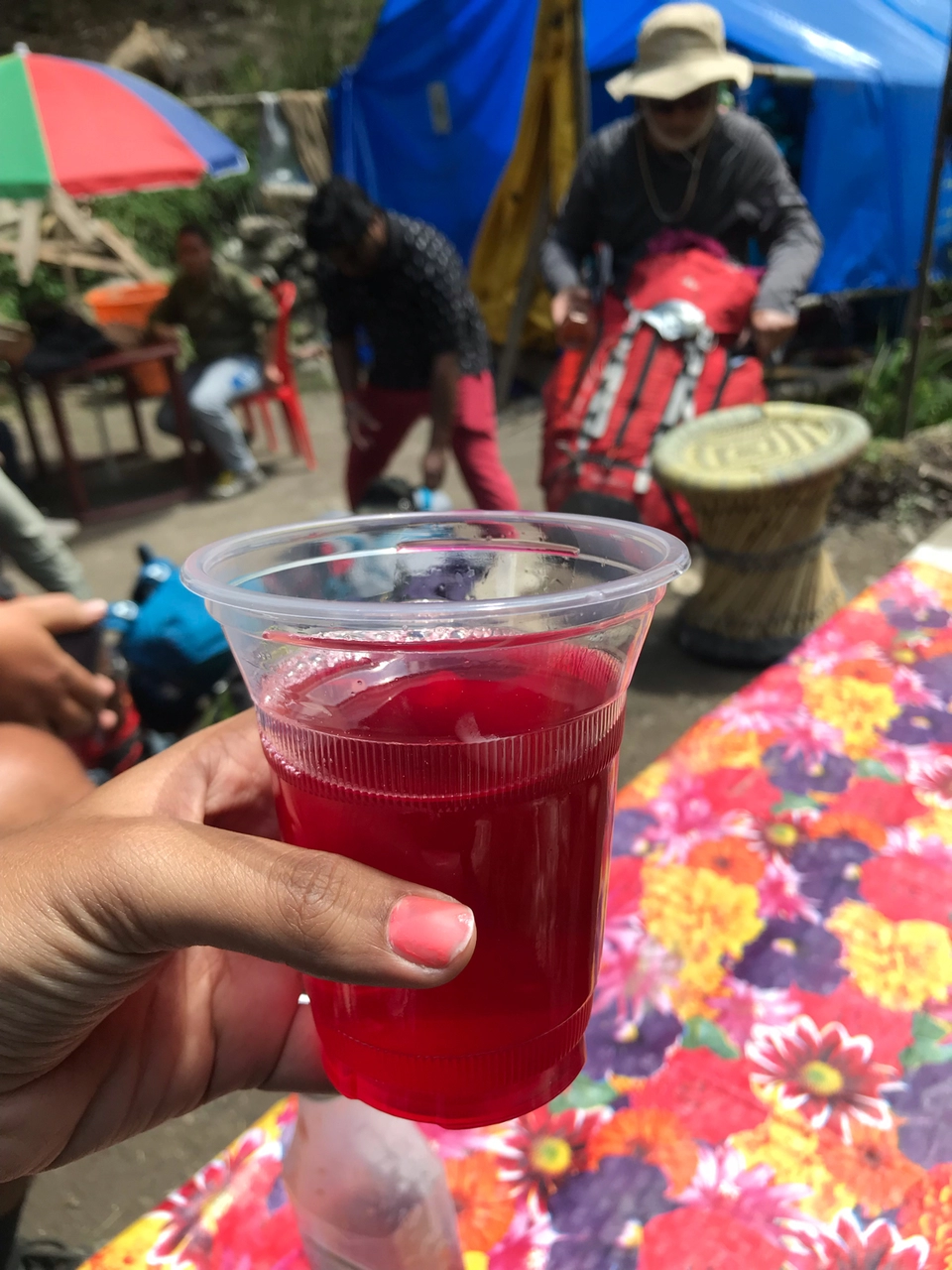 Photo of Sarpass Trek: Everything You Need To Know by Deepti Dabas