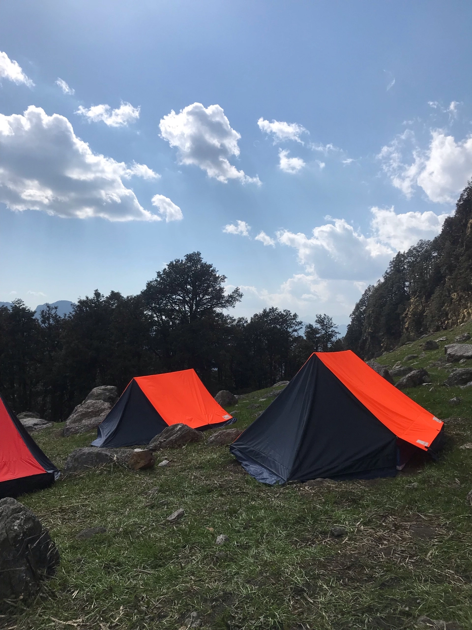 Photo of Sarpass Trek: Everything You Need To Know by Deepti Dabas