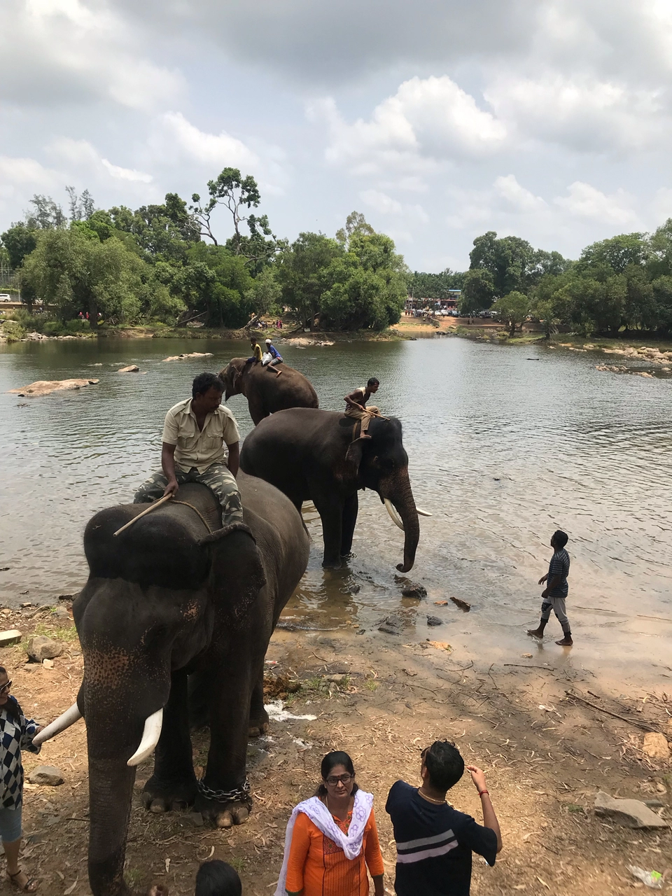 Photo of Dubare Elephant Camp, Nanjarayapatna, Karnataka, India by Akash Vaish