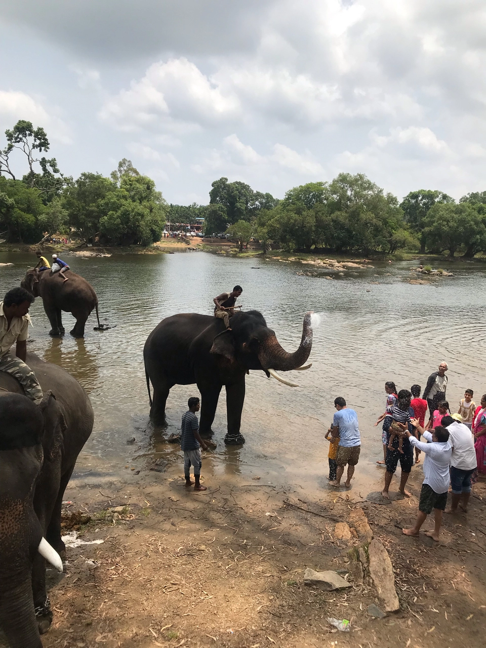 Photo of Dubare Elephant Camp, Nanjarayapatna, Karnataka, India by Akash Vaish