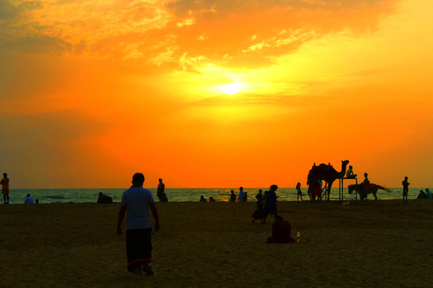 Photo of The Plateaus, The Ghats and the Sea Side : My Unplanned Trip to Karnataka by Harika Palaparthi