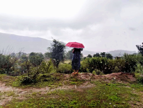 Photo of When the hills called back: Panchgani, Mahabaleshwar and Koyna by Harika Palaparthi