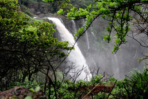Photo of When the hills called back: Panchgani, Mahabaleshwar and Koyna by Harika Palaparthi