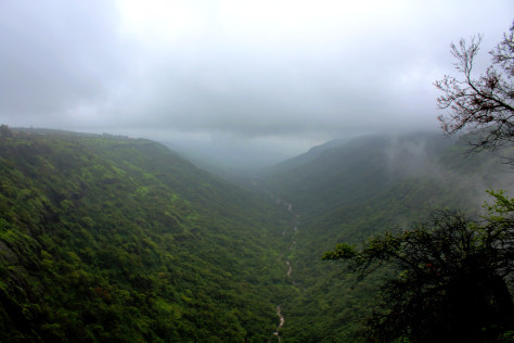 Photo of When the hills called back: Panchgani, Mahabaleshwar and Koyna by Harika Palaparthi