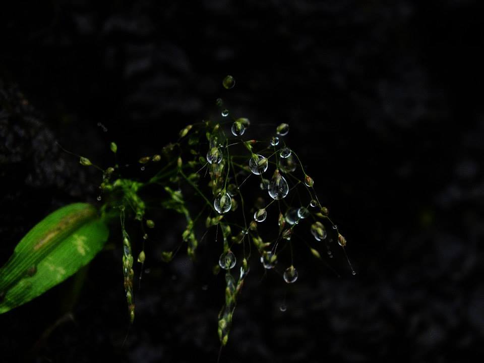 Photo of RATANGAD – Truly a Jewel 2/5 by Kush