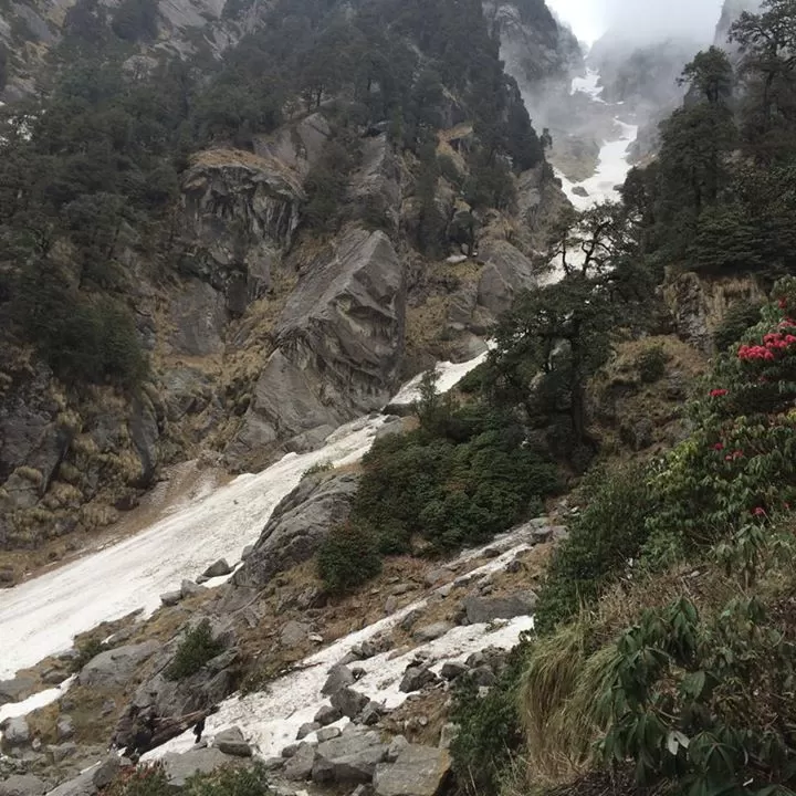 Photo of McLeod Ganj, Dharamshala, Himachal Pradesh, India by The Tropical River