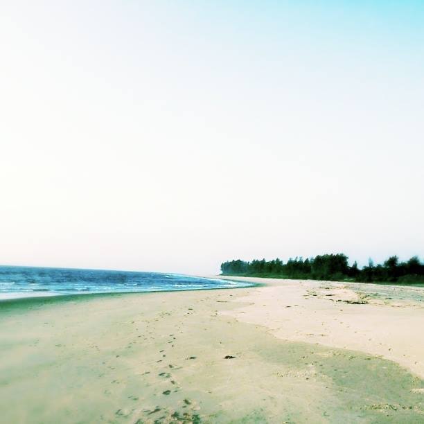 Photo of Scuba diving at Malvan 5/17 by The Tropical River