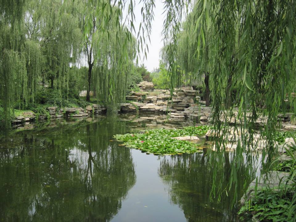 Photo of #SwipeRightToTravel: Luxing to China 3/9 by raina.sahil