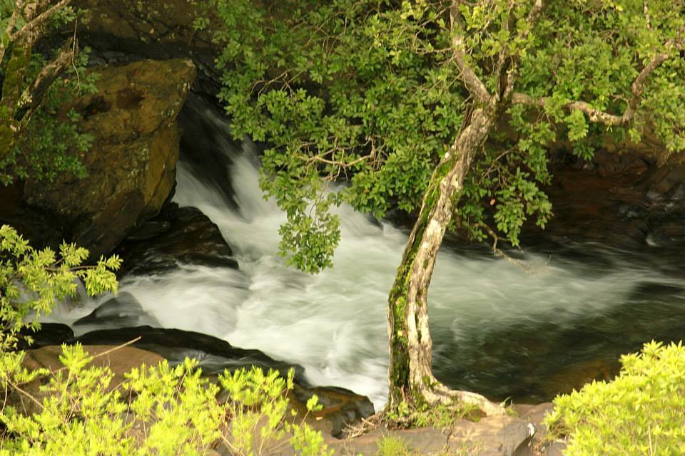 Photo of 30hours in Western Ghats : Kudremukh Trek 10/10 by Eva Rana
