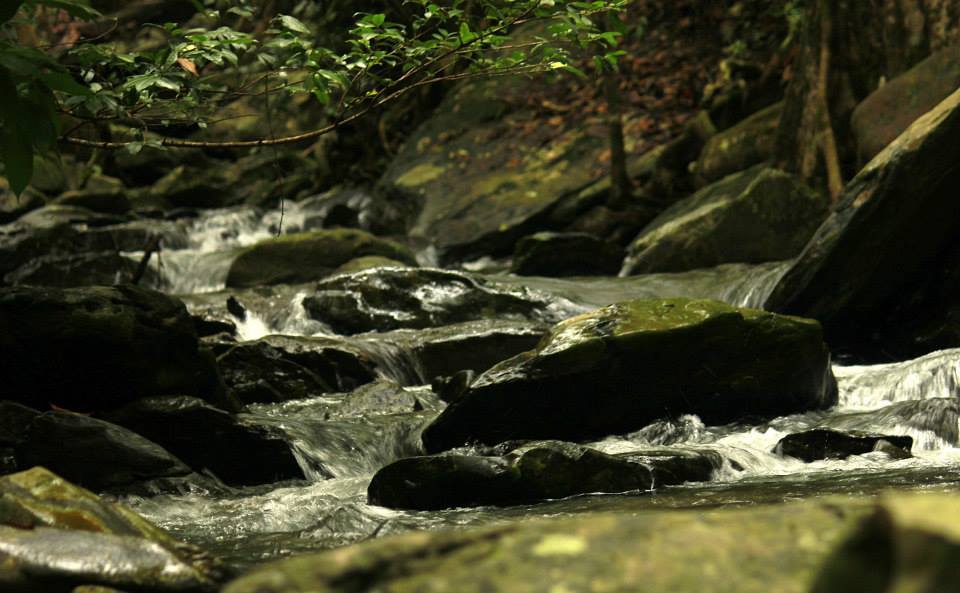 Photo of 30hours in Western Ghats : Kudremukh Trek 3/10 by Eva Rana