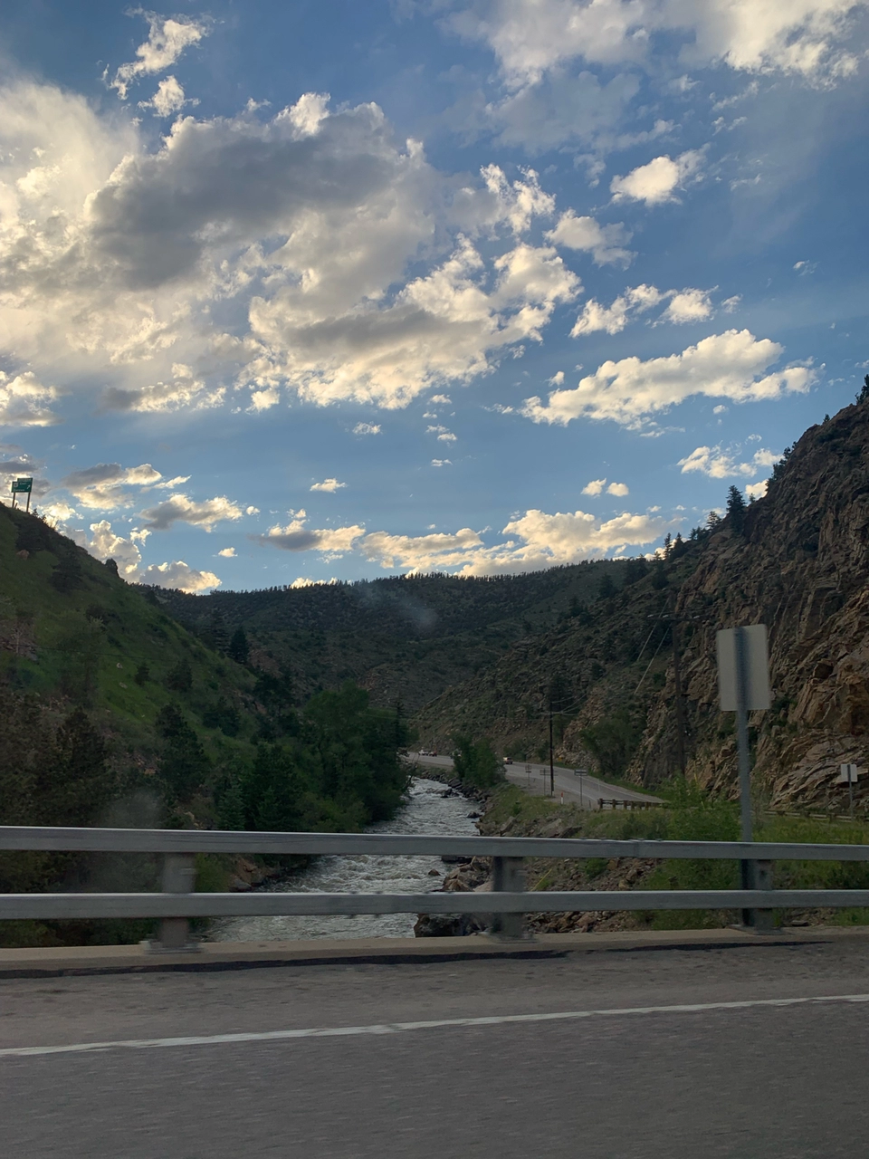 Photo of Evergreen by Shivani Patil