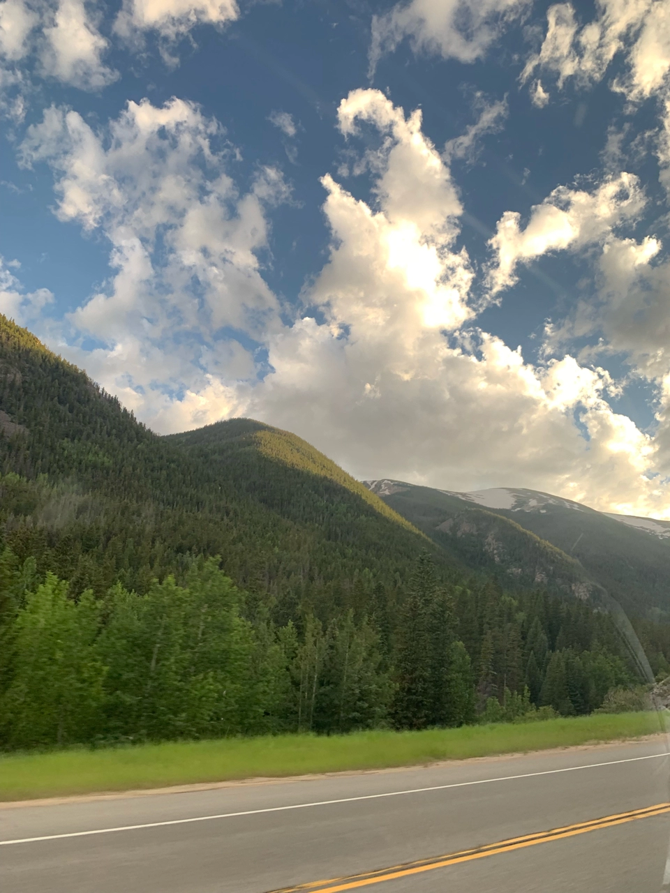 Photo of Evergreen by Shivani Patil