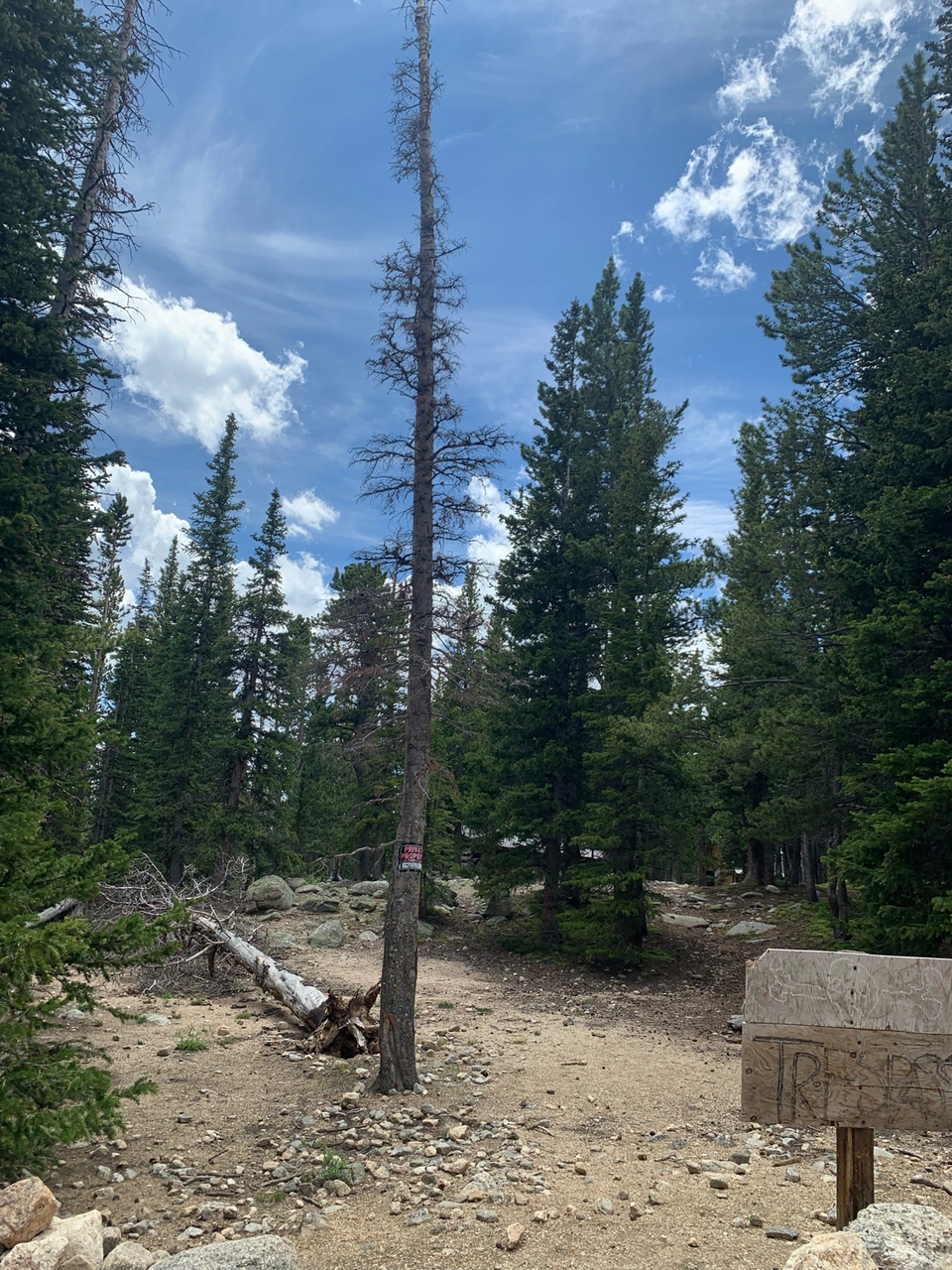Photo of 3 Days In Winter Park Colorado! by Shivani Patil